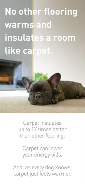 Carpet energy savings for sale in Bremerton and Silverdale area.